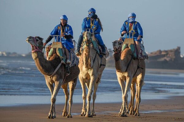 Camel Rides on the Beach