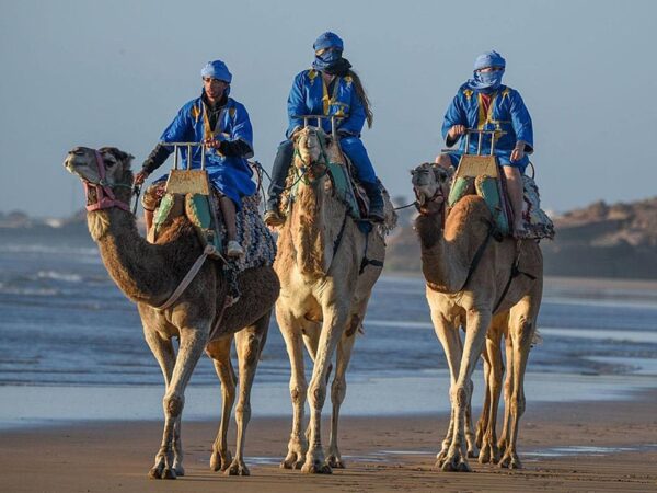 Camel Rides on the Beach