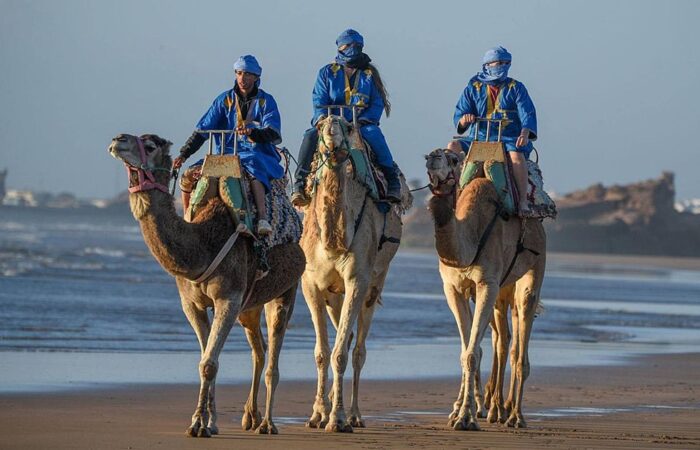Camel Rides on the Beach