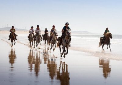 Horseback Riding Along the Coastline