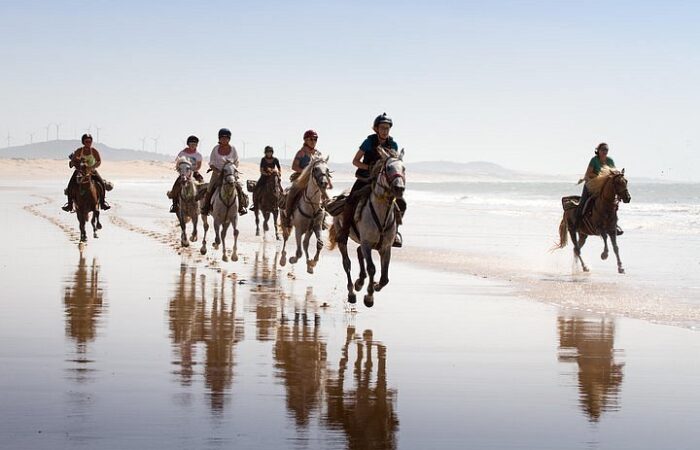 Horseback Riding Along the Coastline
