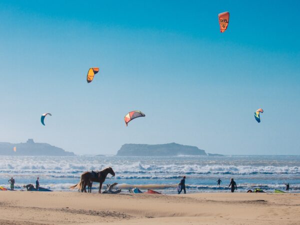 Kitesurfing and Windsurfing