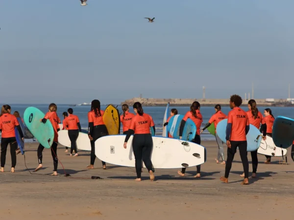 Surfing Lessons and Rentals